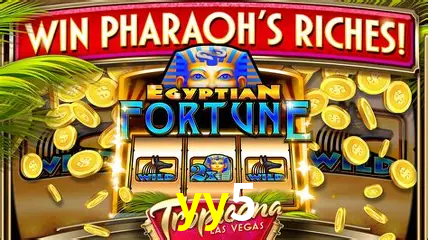 Cassino ao vivo com dealers reais na yy5